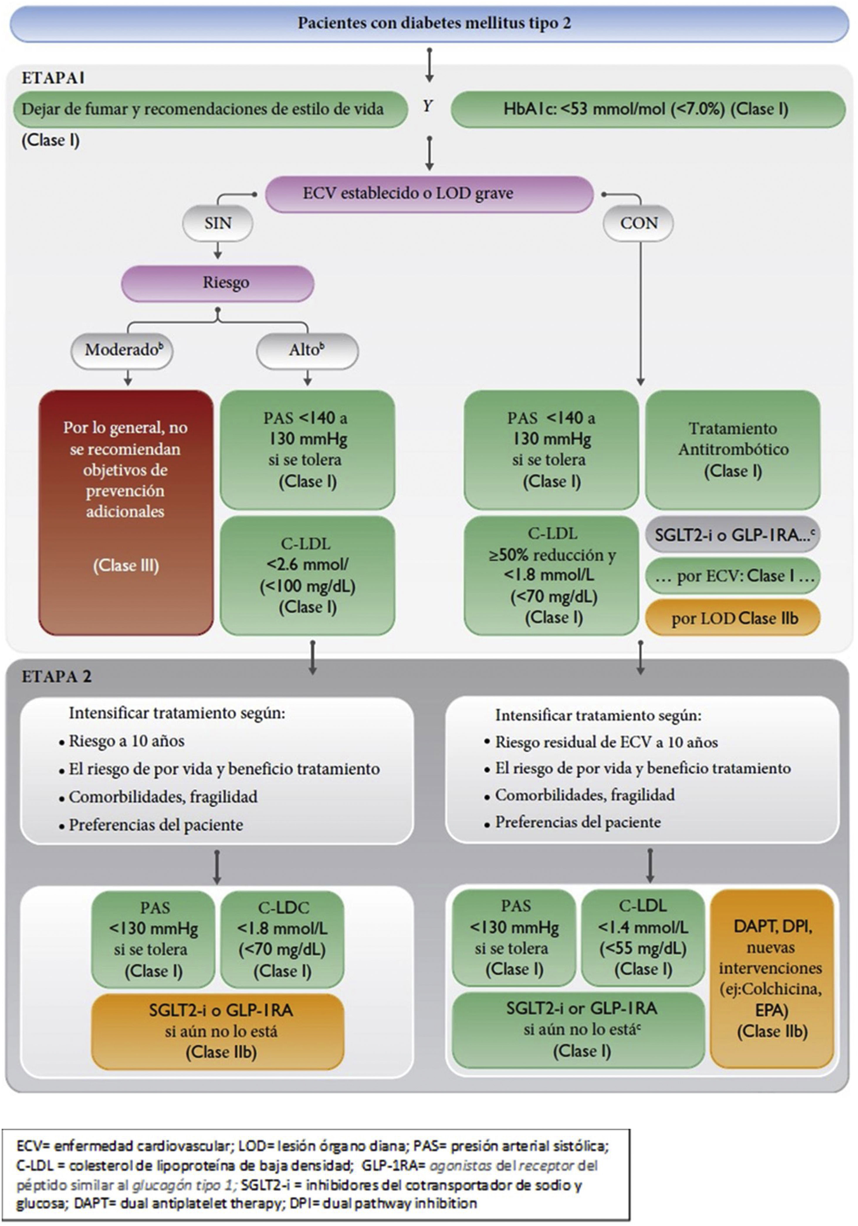 Sodium Algorith Statement of the Spanish Interdisciplinary Vascular Prevention ...
