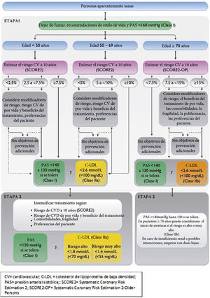 Vascular risk algorithm and therapeutic targets in apparently healthy patients. LDL-C, low-density lipoprotein cholesterol; CV, cardiovascular; CVD, cardiovascular disease; SBP, systolic blood pressure; SCORE2, Systematic Coronary Risk Estimation 2; SCORE2-OP, Systematic Coronary Risk Estimation 2-Older Persons.