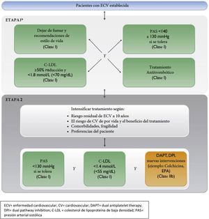Therapeutic target and pharmacological treatment algorithm in patients with established vascular disease. LDL-C: Low density lipoprotein cholesterol; CV: cardiovascular; DAPT: dual antiplatelet therapy; DPI: dual pathway inhibition; CVD: cardiovascular disease; SBP: systolic blood pressure.
