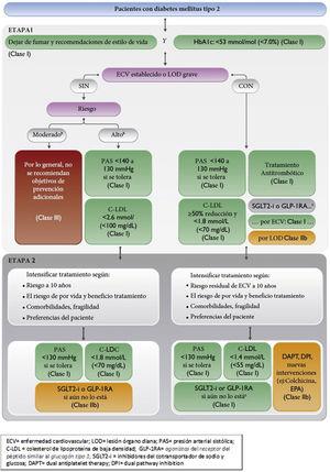 Vascular risk algorithm, therapeutic objectives, and pharmacological treatment in patients with diabetes. CVD: cardiovascular disease; DAPT: dual antiplatelet therapy; DPI: dual pathway inhibition; GLP-1RA: glucagon-like peptide-1 receptor agonists; HbAIc: glycosylated haemoglobin; LDL-C: low-density lipoprotein cholesterol; SBP: systolic blood pressure; SGLT2-i: sodium/glucose cotransporter-2 inhibitors; TOD: target organ damage.