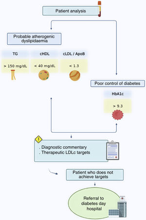 Diagram of the process initiated when diabetic patients with probable severe atherogenic dyslipidaemia are detected by analysis. Activation of the algorithm triggers the implementation of an analytical warning. PC: primary care; ApoB: apolipoprotein B; HDLc: cholesterol bound to high density lipoproteins; LDLc: cholesterol bound to low density lipoproteins; HbA1c: glycated haemoglobin; TG: triglycerides.