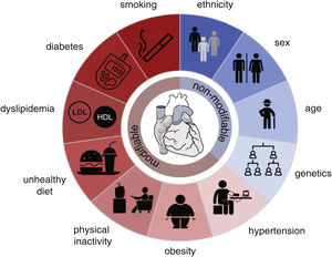 Risk factors for atherosclerotic cardiovascular diseases. Modifiable (red) and non-modifiable (blue) risk factors. This figure was partly generated using Servier Medical Art, provided by Servier, licensed under a Creative Commons Attribution 3.0 unported license (heart), and The Noun Project (symbols). Donut chart by google docs (excel).