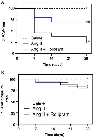 Rolipram attenuates AAA development in Ang II-infused ApoE−/− mice. ApoE−/− mice were infused with saline or Ang II (1000 ng/kg/min) for 28 days and treated or not with rolipram (3 mg/kg/day; i.p.). (A) Percentage of AAA-free animals throughout the experimental period in each group is shown p < 0.05: * vs. saline; # vs. Ang II. (B) Percentage of animals free of aortic rupture (saline, n = 9; Ang II, n = 15; rolipram, n = 13).