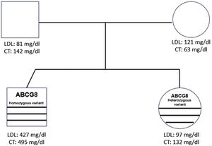 Family tree of the index patient.