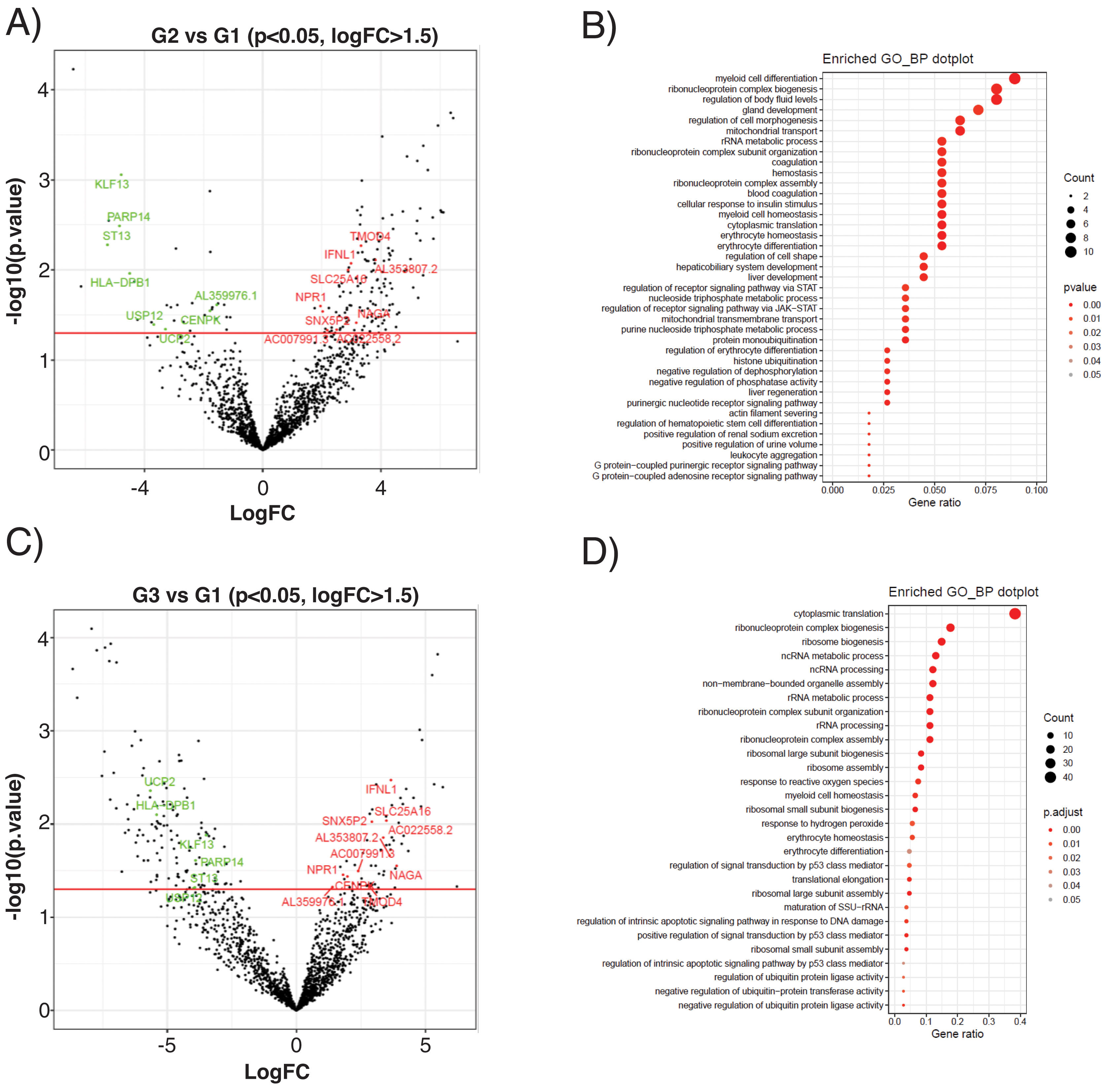 Novel protocol for the transcriptomic analysis of endothelial ...