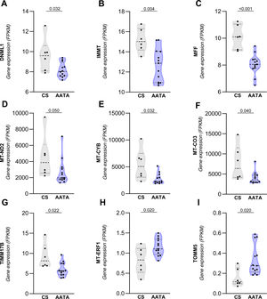Differential gene expression of markers related to mitochondrial dysfunction in ascending aortic aneurysm (ATAA) patients. A–G. The expression of the DNML1, IMMT, MFF, MT-CO3, MT-CYB, MT-ND2, and TIMM17B genes was significantly decreased in the patient group, while the expression of the MT-ERF1 and TOMM5 (H and I) genes was increased. The studies were performed on ascending aorta samples from patients with ATAA (n = 13) and healthy controls ([CS] n = 6). The Wilcoxon rank sum test was used to evaluate differences between groups. A p-value <.05 was considered statistically significant.
