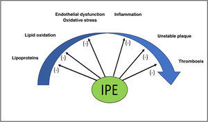 Effect of icosapent ethyl on the atherosclerotic cardiovascular disease continuum.