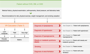 Clinical management recommendations for vascular risk in patients without established vascular disease, diabetes mellitus (DM), or chronic kidney disease (CKD). AF: atrial fibrillation; BP: blood pressure; CVD: cardiovascular disease; HTN: hypertension; MS: metabolic syndrome; RV: vascular risk.