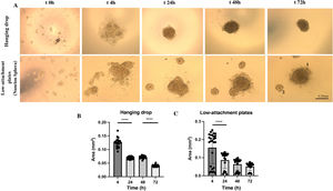 3D spheroid formation dynamics of HUVEC-HUASMC under hanging drop or low adhesion plate conditions (Nunclon Sphera). A) Representative images for a spheroid in bright field at a defined time kinetics (t0 seeding, 4 h, 24 h, 48 ​​h, 72 h). Top images represent spheroid formation in hanging drop. Bottom images represent spheroid formation on Nunclon™ Sphera™ low adhesion plates. B). Quantification of spheroid area over time measured in mm2 in n = 24 spheroids in hanging drop, n = 22 on low adhesion plate. ****P < .0001. 1.2 indicative of various sphere sizes. Error bars .25 mm. One way-ANOVA, Turkey multiple comparison. Mean ± SEM. ****P < .0001.