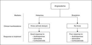 Chart of the main types of angioedema according to the responsible chemical mediator, the clinical manifestation and the response to treatment (compiled by the authors).