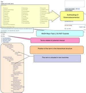 Example of the information on MeSH for the heading “Eye” in PubMed (https://www.ncbi.nlm.nih.gov/mesh).