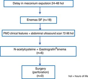 Clinical management using a specific protocol of the RN with PMO during the 2016–2017 period.