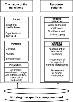 Main secondary analysis (SA) themes. Translated and adapted from Schumacher and Meleis.1