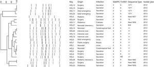 Genetic relationship of 22 isolates of blaKPC-2-harboring K. pneumoniae (Bionumerics software package version 7.5, Applied Maths NV/Inc.). The list on the right contains the results from analysis of blaKPC, MLST and the nonconserved region of the Tn4401 element. ND: no determine.