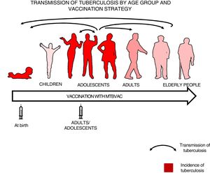 Transmission of tuberculosis by age group and vaccination strategy. The role of adolescents and adults in the transmission of the disease is indicated by arrows. The groups with the highest incidence of tuberculosis—children under 5 years of age and adolescents—are in red. The introduction of a new vaccine at birth would enable the protection of children from birth and the study of its efficacy in a naïve population neither previously exposed to mycobacteria nor previously vaccinated with BCG. Vaccination in an adolescent and adult population with pulmonary forms of tuberculosis would have a greater impact on the transmission of the disease.