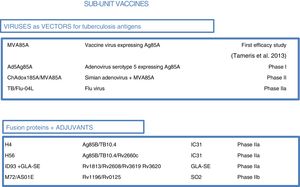 Sub-unit vaccines in clinical trials. Sub-unit vaccines seek in individuals previously vaccinated with BCG to increase the protection it confers by boosting it with M. tuberculosis antigens. They may use different viruses as vectors, such as poxviruses (MVA), adenoviruses of different origins (Ad or ChA) and the flu virus. Other sub-unit vaccines use different adjuvants (IC31, GLA-SE or SO2) to enhance the immunogenic effects of M. tuberculosis proteins. The current phase of clinical development is indicated for each candidate sub-unit.
