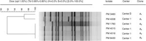 Dendrogram of SmaI-PFGE patterns illustrating genetic relationships between six S. aureus isolates: five from Center 1 and one from Center 3. The dendrogram was created with Fingerprinting 3.0 software (Bio-Rad, Madrid, Spain), using the Dice coefficient with position tolerance settings: 1% optimization and 0.85% position tolerance.