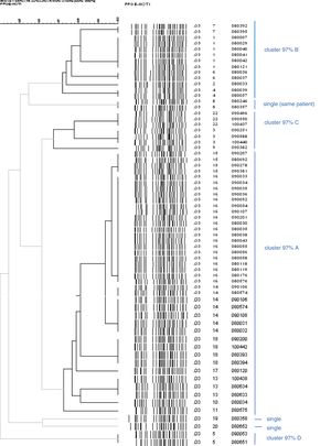 Dendrogram which only includes the strains of Y. enterocolitica O:3, excluding the only O:9 in order to see the similarity between them more clearly. The lines in bold indicate the strains 97% related. There are more strains than patients because there are some from the same patient, whose pulsotype did not vary: cluster 97% A (digits 12 and 21 were not used in the numbering of pulsotypes).