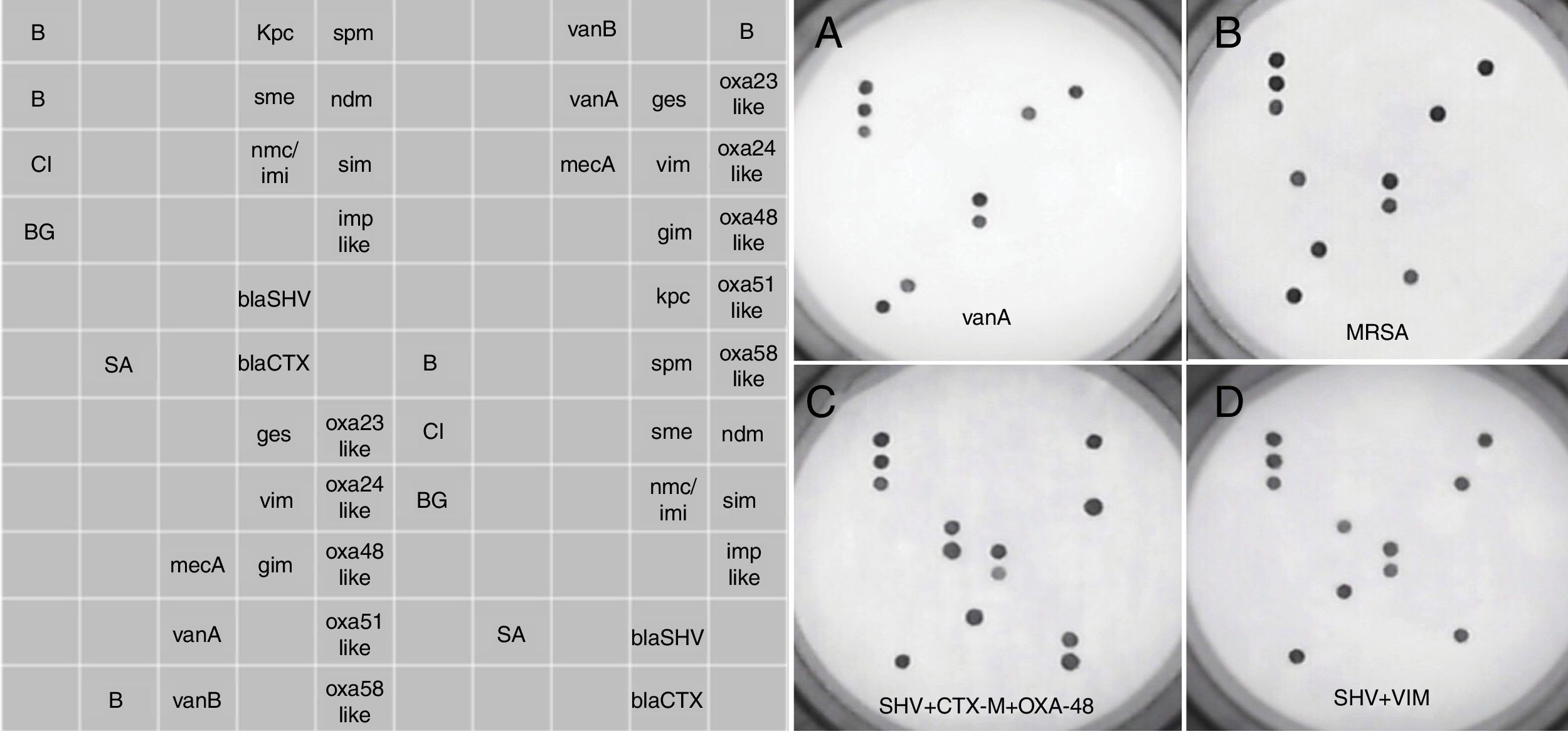 Evaluation of the DNA microarray “AMR Direct Flow Chip Kit” for ...