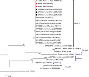 Phylogenetic tree depicting evolutionary relationships among C. hominis IbA13G3 sequences at GP60 from human isolates generated in the present study (represented by red filled circles) and other available surveys (represented by black filled circles). Representative sequences of C. hominis subtype families previously identified in different Spanish regions were also included in the analysis for comparative purposes. The analysis was inferred using the Neighbor-Joining method. Bootstrapping values over 50% from 1.000 replicates are shown at the branch points. The evolutionary distances were computed using the Kimura 2-parameter method. The rate variation among sites was modelled with a gamma distribution (shape parameter=2). C. parvum was used as outgroup taxa.