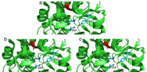 Detailed representation of the area surrounding the active site of AmpC from P. aeruginosa PAO1 (light green, PDB code 4ZDB) using the PyMol Molecular Graphic System, v.1.8 (www.pymol.com). Residues in position 183 (156 according to recent consensus numbering of AmpC β-lactamases23) are colored in red: (a) G156, (b) D156 and (c) V156. Active residues (S64, K67 and Y150) are indicated as well.