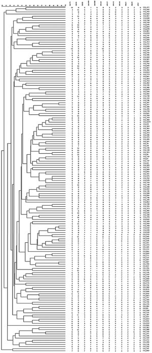 Dendrogram of 162 isolates from DR-EPTB.