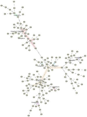 Minimal spanning trees of the 162 strains based on VNTR-12.