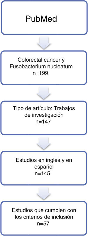 Systematic review flow chart.