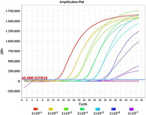 Effect of high concentrations of human RNA on E gene amplification by duplex PCR technique (E gene/plus RNase P). Two amplification curves corresponding to the E marker are observed in monoplex and duplex PCR for the different dilutions of viral RNA from culture.