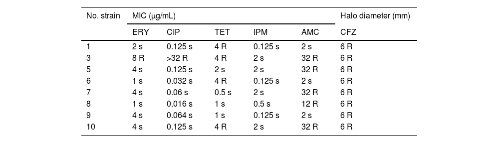 Tablas