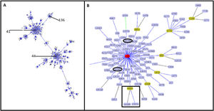 Clonal complex 41/44. Analysis by goeBURST shows CC 41/44 with all its STs represented by dots and the founder ST-41. ST-136 is also identified in the image (A). The image shows the relationship of Colombian STs and ST-136 (highlighted in red). ST-9493, ST-13974 and ST-14190 are identified as black squares. ST-14185 and ST-14188 are represented by black ovals (B).
