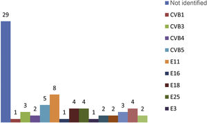 EV genotypes isolated in newborns with EV meningitis expressed in number of cases. E: echovirus; CV: coxsackievirus.