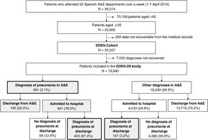 Flowchart of patient inclusion in the EDEN-29 study. A&E: Hospital Accident and Emergency Department.