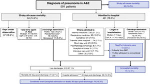 Management of patients diagnosed with pneumonia in Accident and Emergency and frequency of adverse events (blue boxes) considered in the EDEN-29 study. * The 16 patients (100%) came from residential care. ** The hospitals to which the patients were transferred were support hospitals in 10 patients (41.7%), hospitals with which the patient was linked by another process in six patients (25%), medium-stay or palliative care hospitals in five patients (20.8%) and transfer due to sectorisation in three cases (12.5%). *** Fifty-five of the 75 patients (73.3%) came from residential care; the remaining 20 (26.7%) came from home. **** In 41 of the 66 patients (62.1%), hospital readmission was related to the index event (pneumonia).