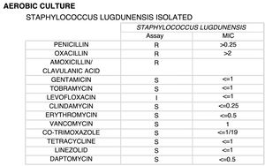 Antibiogram of the Staphylococcus lugdunensis isolate.