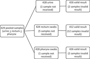 Samples analyzed in the study.