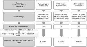 Search and literature review algorithm.