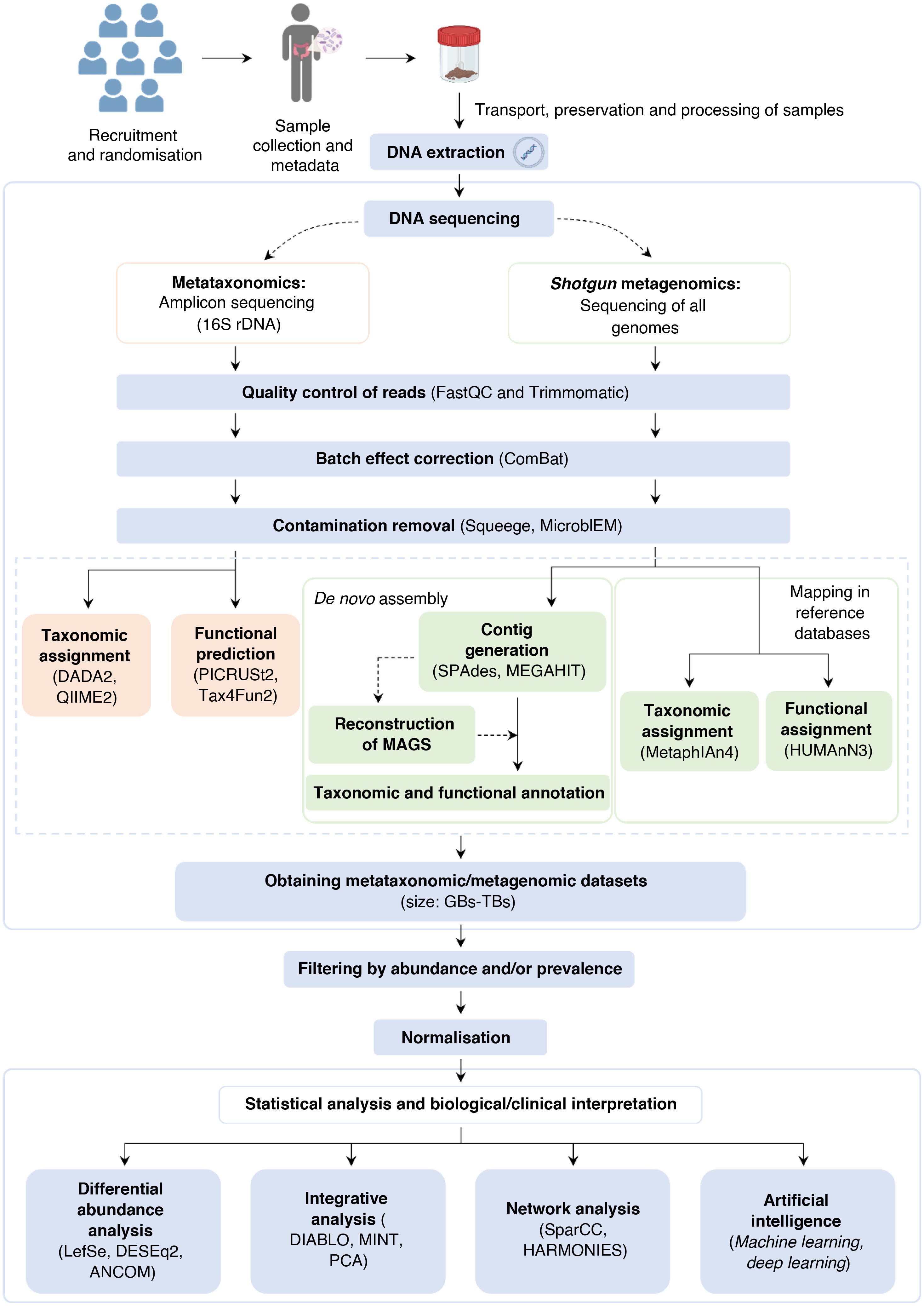Human gut microbiome study through metagenomics: Recent advances and ...