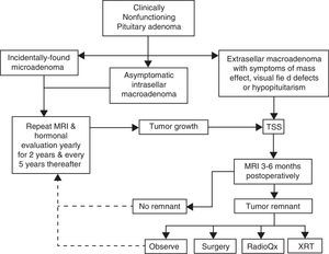 Management algorithm for nonfunctioning pituitary adenomas at our center. Incidentally found microadenomas and small, intrasellar macroadenomas are managed conservatively. Extrasellar macroadenomas, particularly when symptomatic, are subjected to TSS. If a small (less than 6mm) tumor remnant is demonstrated in the postoperative MRI and the patient is asymptomatic, has relative preservation of hormone function and wants to preserve fertility it is reasonable to observe and monitor the lesion periodically. Pituitary surgical reintervention could be attempted when there is an accessible tumor remnant. Tumor remnants measuring more than 10mm and particularly when located in the cavernous sinuses should undergo radiation therapy. Choosing between conventional external RT or radiosurgery will depend on the size and location of the remnant and its proximity to the optic apparatus. (TSS: transsphenoidal surgery; MRI: magnetic resonance imaging; XRT: external radiotherapy; RadioQx: radiosurgery).