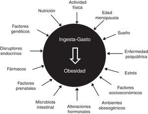 La obesidad como enfermedad multifactorial.