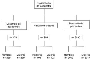 Organización de la muestra para la conformación de grupos de estudio.