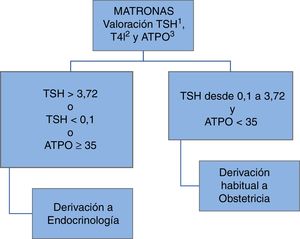 Organización de la asistencia a la disfunción tiroidea gestacional en el Complejo Asistencial Universitario de León. 1: tirotroponina; 2: tiroxina libre; 3: anticuerpos antiperoxidasa tiroidea.