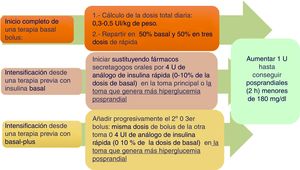 Estrategia basal-bolo.