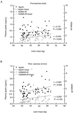 The correlations among plasma apelin, lean mass, and insulin sensitivity. (A) The association pre-exercise. (B) The association post-exercise. Pearson correlation was examined.