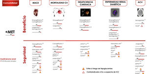 Algoritmo de tratamiento centrado en comorbilidades. Intensificación. Si no se alcanza objetivo individualizado en 3 meses asociar triple terapia con fármaco con mecanismo de acción complementario y beneficio/seguridad CV. Valorar empleo de insulinoterapia basal (ver algoritmo). ACV; accidente cerebrovascular; CV: cardiovascular; DP: duración prolongada; FG: filtrado glomerular; GLIN: repaglinida; MACE: eventos CV mayores; PIO: pioglitazona; SU: sulfonilurea. *Ajuste de dosis en IR salvo linagliptina. # No requiere ajuste de dosis en ERC. † Evidencia basada en estudios observacionales. (1) Aprobado por la European Medicines Agency. (2) Dulaglutida, dapagliflozina y linagliptina no han finalizado ensayo de seguridad CV. Vildagliptina no tiene ensayo de seguridad CV.