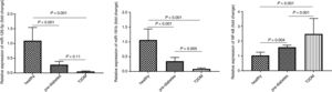 miR-181b and miR-126-5p as well as NF-κB expression levels in peripheral blood in the control group (n=30), pre-diabetic subjects (n=30), type 2 diabetic patients (n=30). The relative expression of miR-181b, miR-126-5p as well as NF-κB was measured by real-time PCR and normalized with SNORD and GAPDH. Result shown as mean±SD