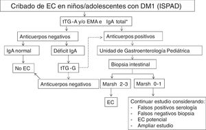 Recomendaciones de la ISPAD para el cribado de enfermedad celiaca (EC) en niños y adolescentes con diabetes tipo1 (DM1). EMA: anticuerpos anti-endomisio IgA; tTG-A: anticuerpos anti-transglutaminasa IgA; tTG-G: anticuerpos anti-transglutaminasa IgG. * En caso de déficit selectivo de IgA, realizar determinación de anticuerpos de clase IgG Fuente: adaptado de Mahmud et al.9.