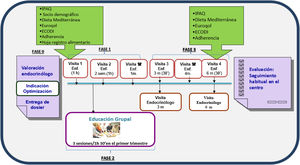Estructura del PAET-Optimización DT2.