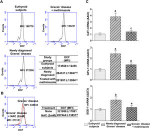 Effects of hyperthyroidism on the induction of ROS and the genomic expression of antioxidant enzymes. Quantification of ROS in PBMC from healthy subjects, patients with newly diagnosed Graves’ disease or treated with methimazole (A), or in PBMC from patients with newly diagnosed Graves’ disease incubated with NAC (2mM) for 24h (B). The mean fluorescence intensity (MFI) of DCF±ES is indicated in the tables. The mRNA expression of CAT, GPX-1 and SOD-1 was quantified by real-time PCR (C). Newly diagnosed Graves’ disease vs euthyroids p<0.001(a) or p<0.05(b); Treated with methimazole vs newly diagnosed Graves disease p<0.001(c), p<0.01(d) or p<0.05(e); Treated with NAC vs no treatment p<0.01(f).