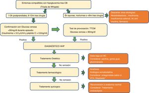 Algoritmo diagnóstico de las hipoglucemias poscirugía bariátrica. AC: anticuerpos; CB: cirugía bariátrica; h: horas; HC: hidratos de carbono; m: meses; HHP: hipoglucemia hiperinsulinémica posprandial; HTA: hipertensión arterial; TTCM: test de tolerancia a comida mixta. *Aunque con menor evidencia se puede valorar agonistas del receptor GLP-1, inhibidor SGLT2/SGLT1. Todavía los antagonistas del receptor GLP-1 y XOMA358 están disponibles solo en el entorno de investigación.